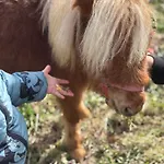 Panzió La Cerasa