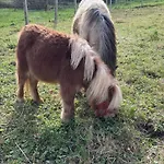 Panzió La Cerasa 3*