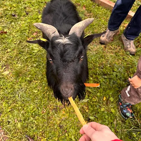 La Cerasa 4* Fabriano