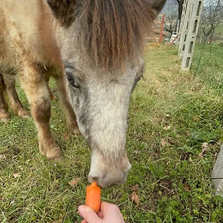 Panzió La Cerasa Fabriano