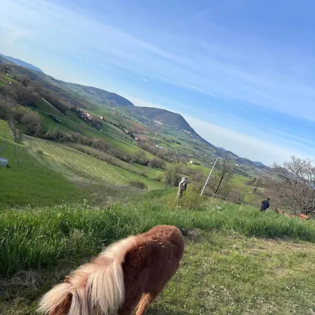 La Cerasa 4* Fabriano