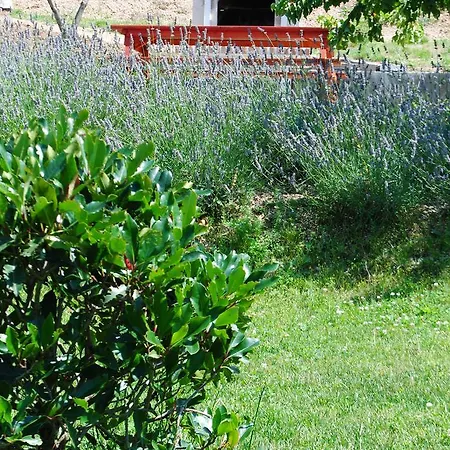 La Cerasa Fabriano