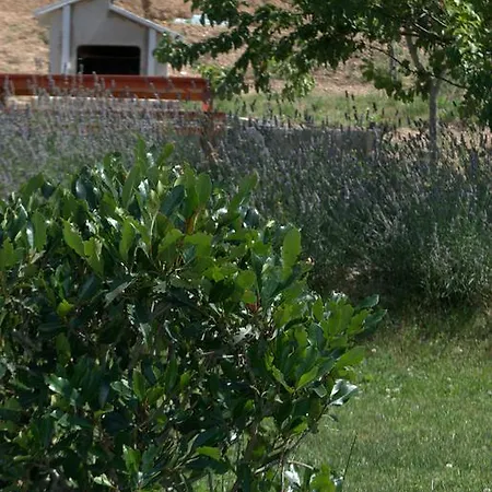 Bed & Breakfast La Cerasa Fabriano