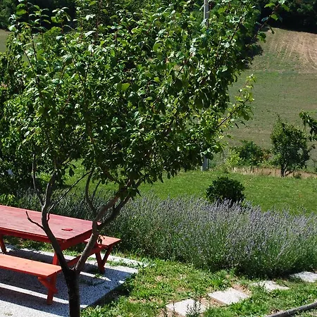 Bed & Breakfast La Cerasa *