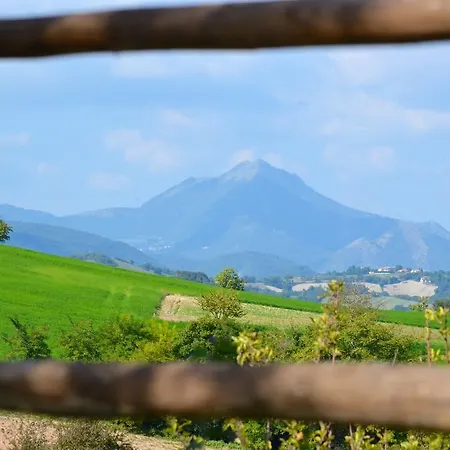 La Cerasa B&B 파브리아노