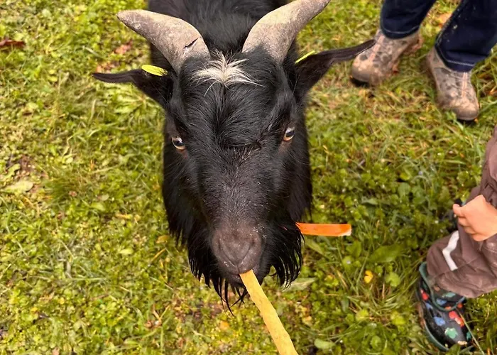 La Cerasa 3* Fabriano