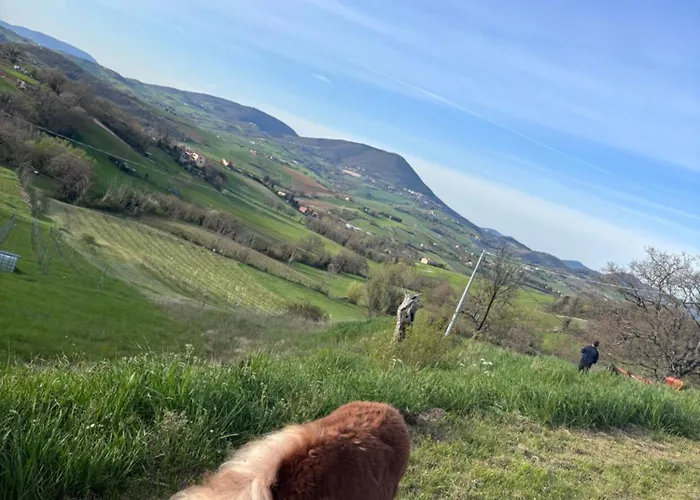 La Cerasa 3* Fabriano