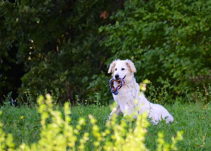 La Cerasa Bed & Breakfast 3*